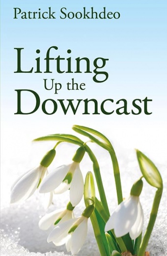 Lifting Up the Downcast book cover